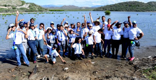 Grupo Scout 15 y la Armada Dominicana realizan jornada de siembra y preservación de manglar rojo